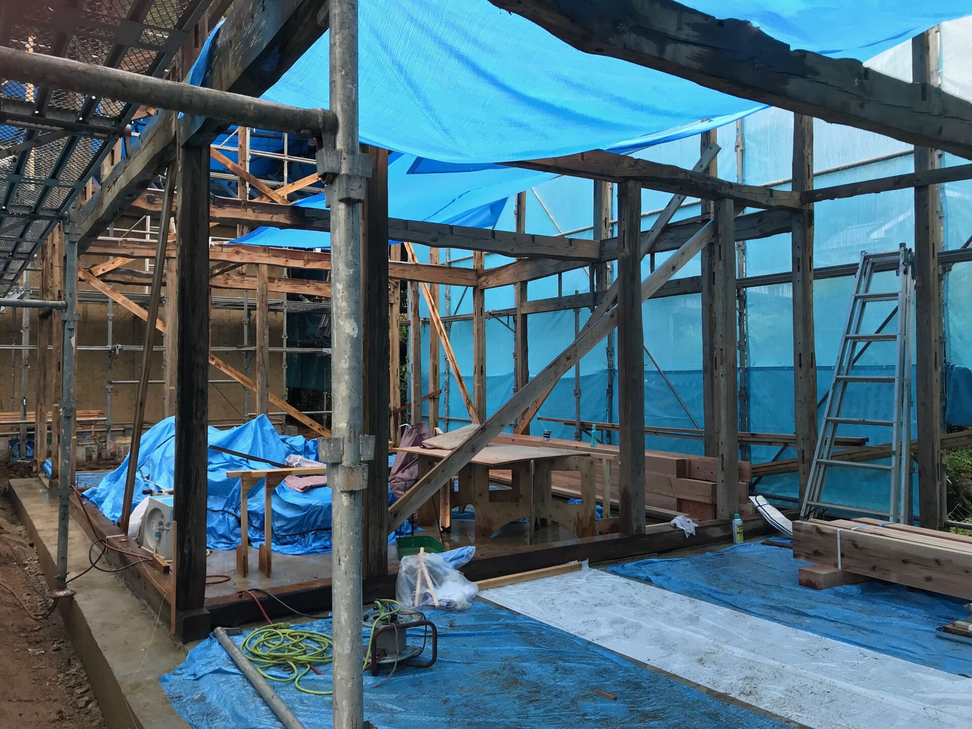 BE89DCC2-BD10-4ECE-8771-24291DCABC1F