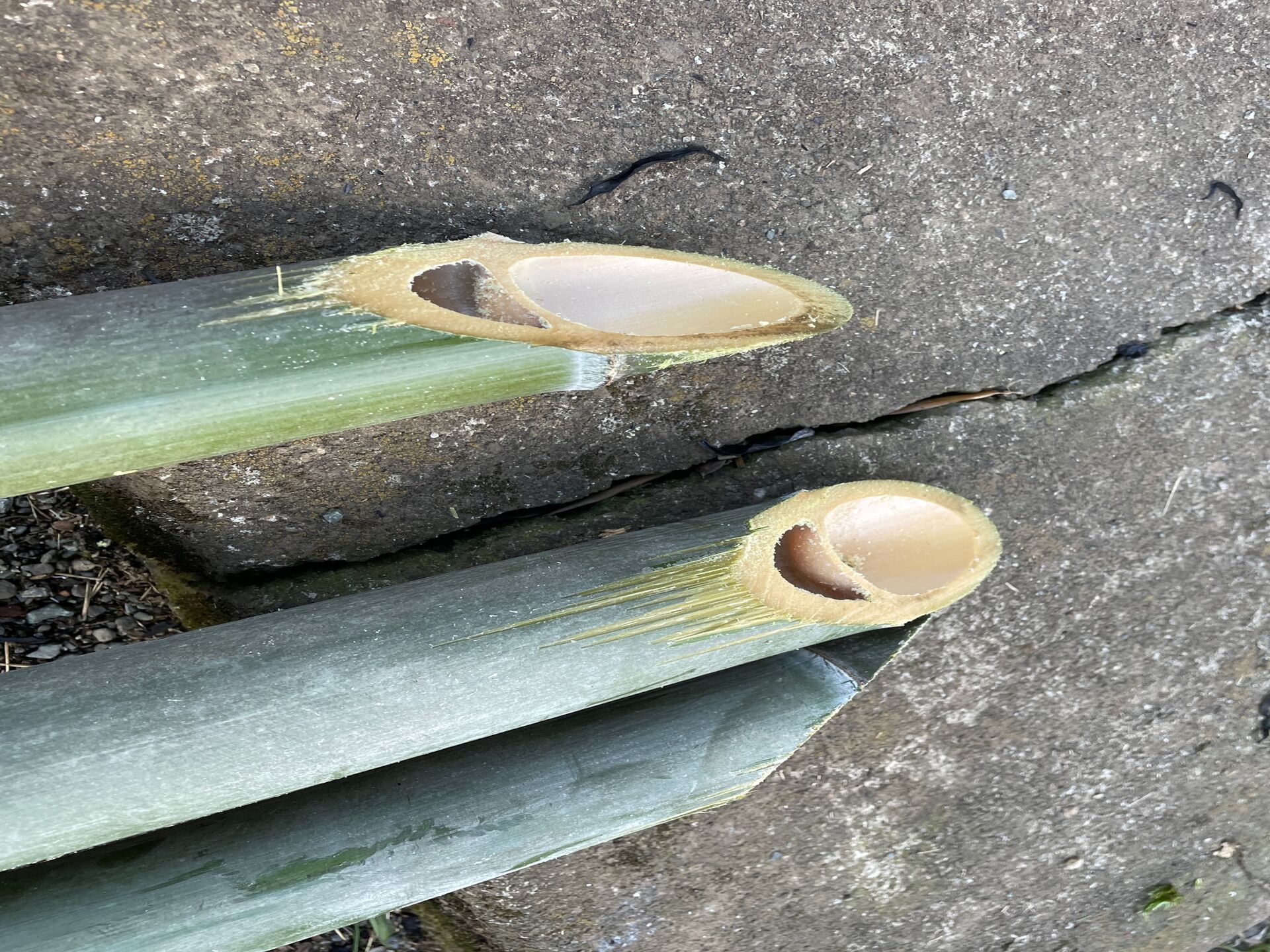 image0